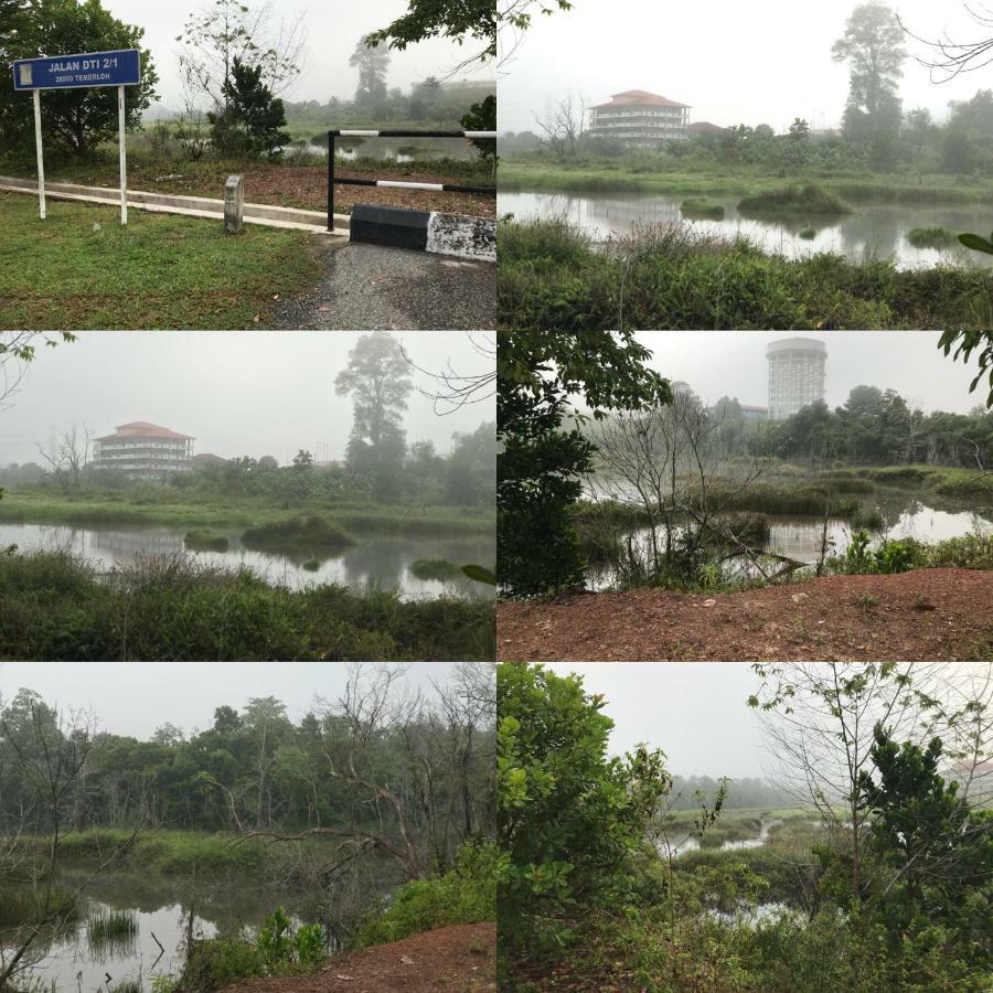 Patin Guest House @Desa Telok Ira, Temerloh Pahang Kampong Paya Kerinau Eksteriør billede